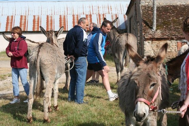 2015-07-06 rando anes (1).JPG